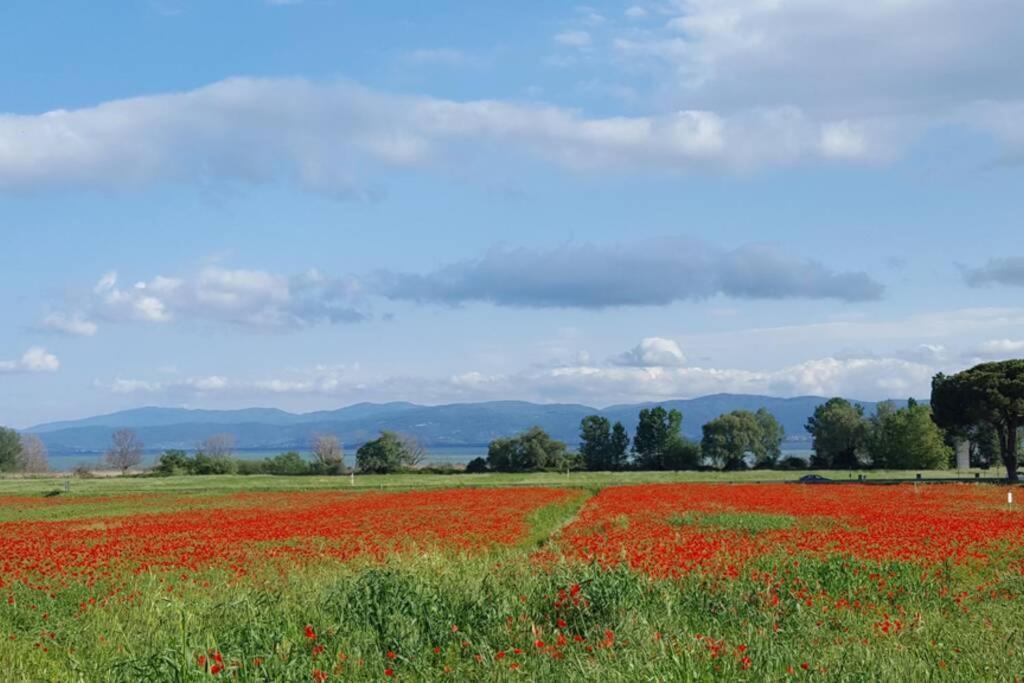 Bellavista La Tua Romantica Vacanza Sul Trasimeno Διαμέρισμα Castiglione del Lago Εξωτερικό φωτογραφία