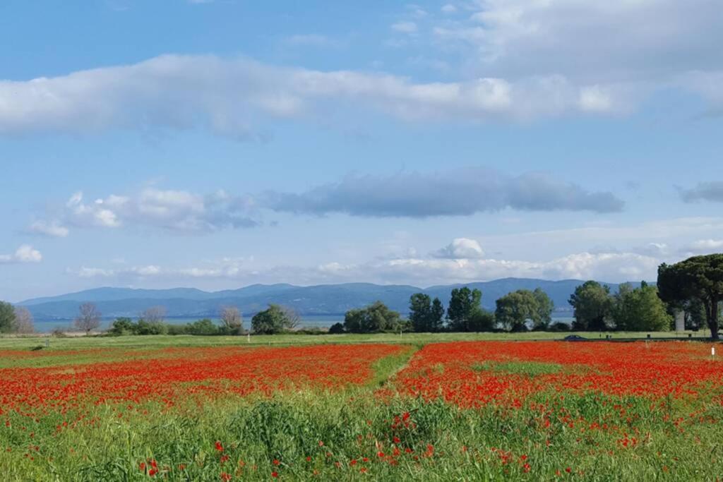 Bellavista La Tua Romantica Vacanza Sul Trasimeno Castiglione del Lago Εξωτερικό φωτογραφία