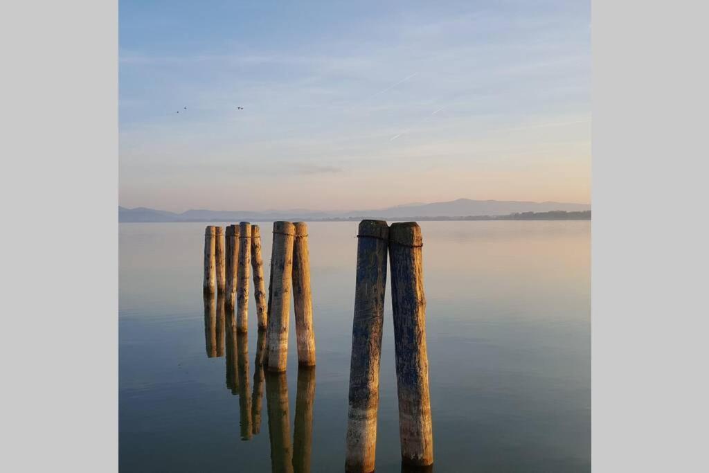 Bellavista La Tua Romantica Vacanza Sul Trasimeno Διαμέρισμα Castiglione del Lago Εξωτερικό φωτογραφία