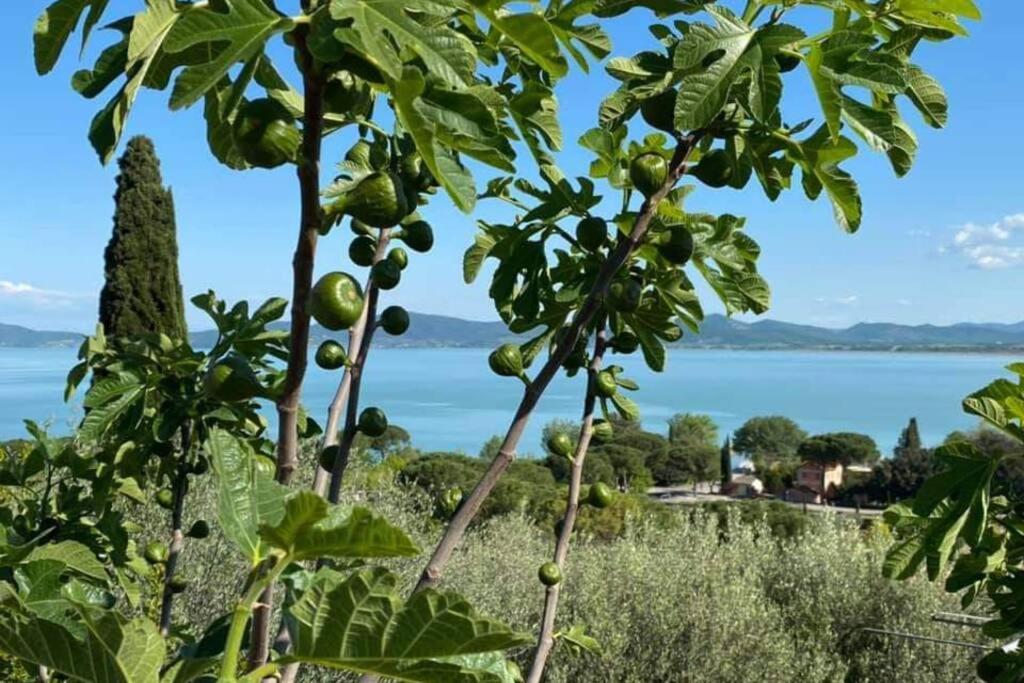 Bellavista La Tua Romantica Vacanza Sul Trasimeno Διαμέρισμα Castiglione del Lago Εξωτερικό φωτογραφία