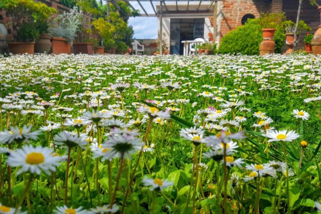 Bellavista La Tua Romantica Vacanza Sul Trasimeno Διαμέρισμα Castiglione del Lago Εξωτερικό φωτογραφία