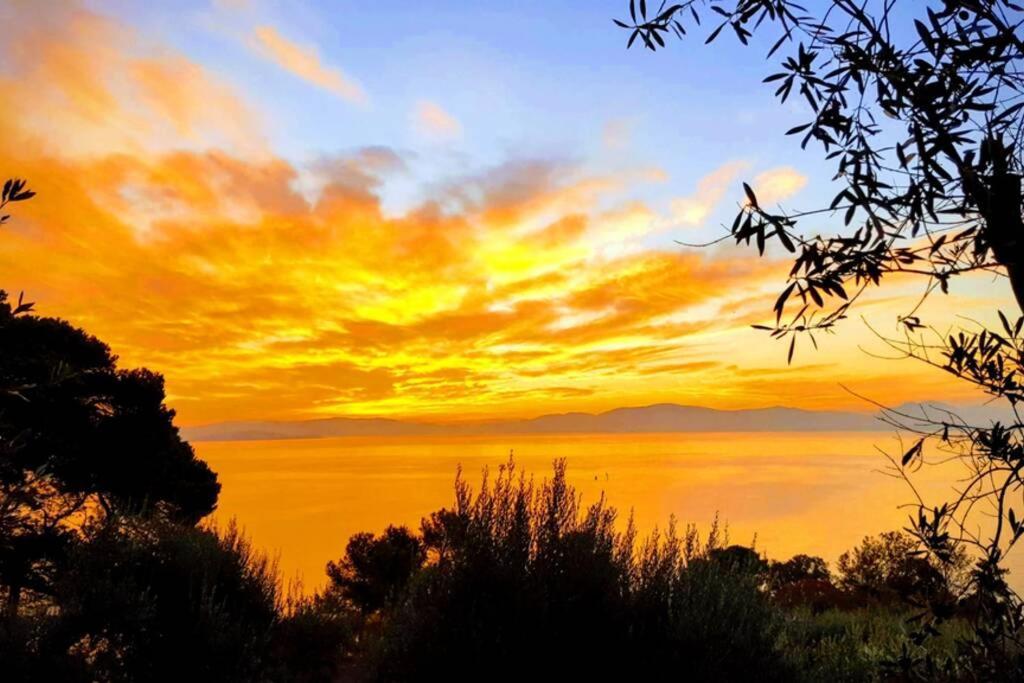 Bellavista La Tua Romantica Vacanza Sul Trasimeno Διαμέρισμα Castiglione del Lago Εξωτερικό φωτογραφία