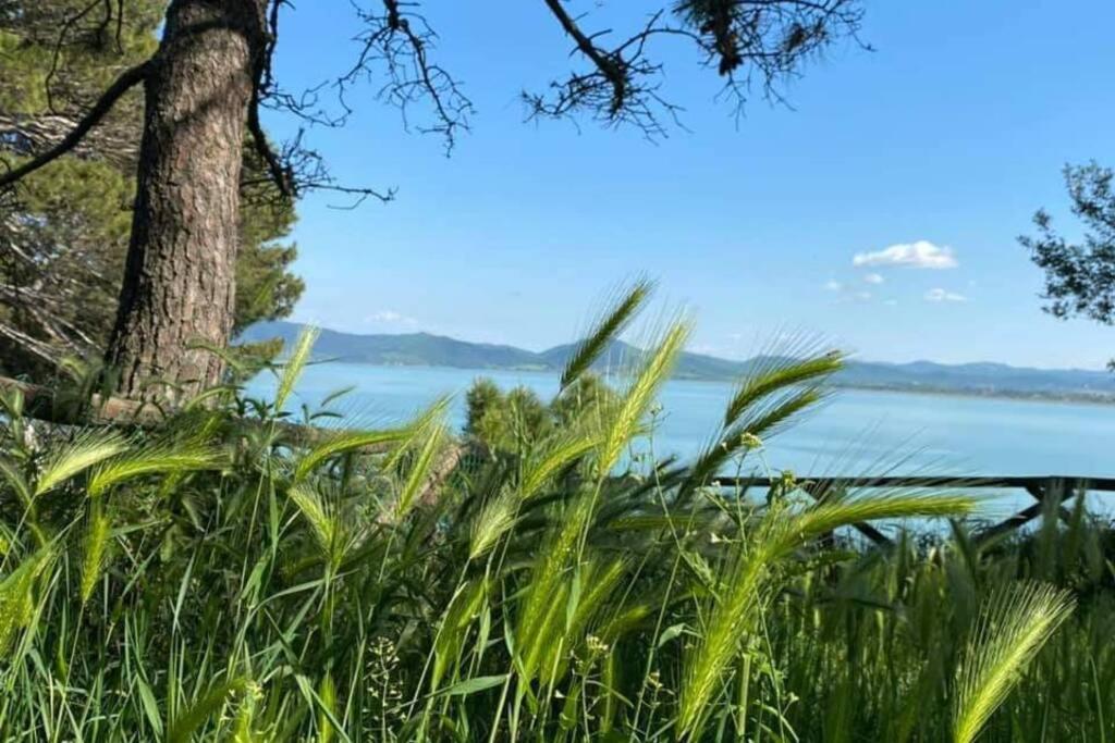 Bellavista La Tua Romantica Vacanza Sul Trasimeno Διαμέρισμα Castiglione del Lago Εξωτερικό φωτογραφία