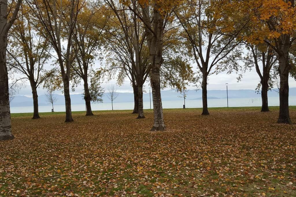 Bellavista La Tua Romantica Vacanza Sul Trasimeno Διαμέρισμα Castiglione del Lago Εξωτερικό φωτογραφία