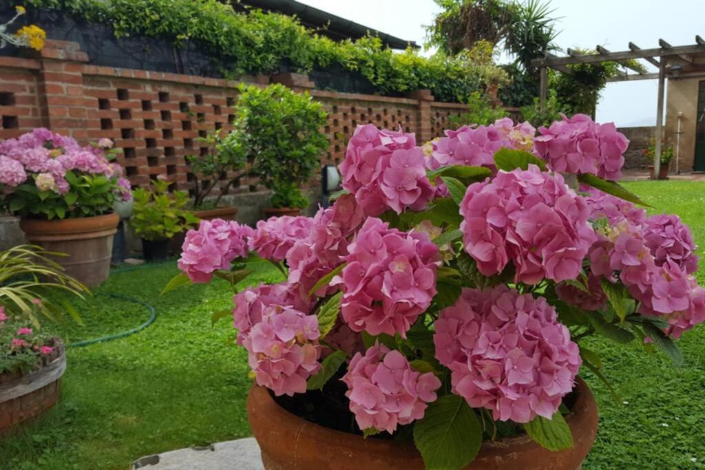 Bellavista La Tua Romantica Vacanza Sul Trasimeno Διαμέρισμα Castiglione del Lago Εξωτερικό φωτογραφία