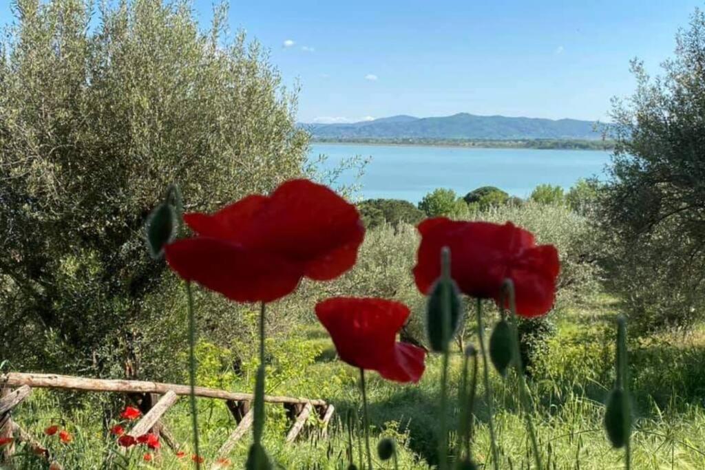 Bellavista La Tua Romantica Vacanza Sul Trasimeno Castiglione del Lago Εξωτερικό φωτογραφία