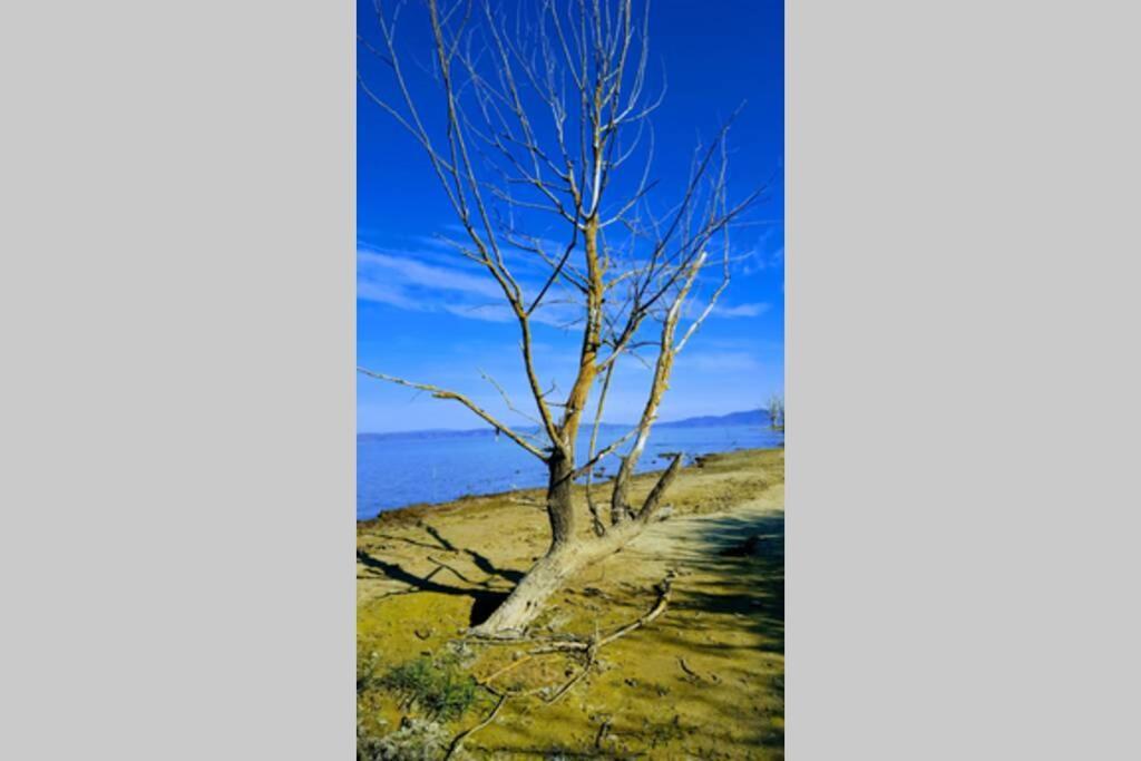 Bellavista La Tua Romantica Vacanza Sul Trasimeno Castiglione del Lago Εξωτερικό φωτογραφία