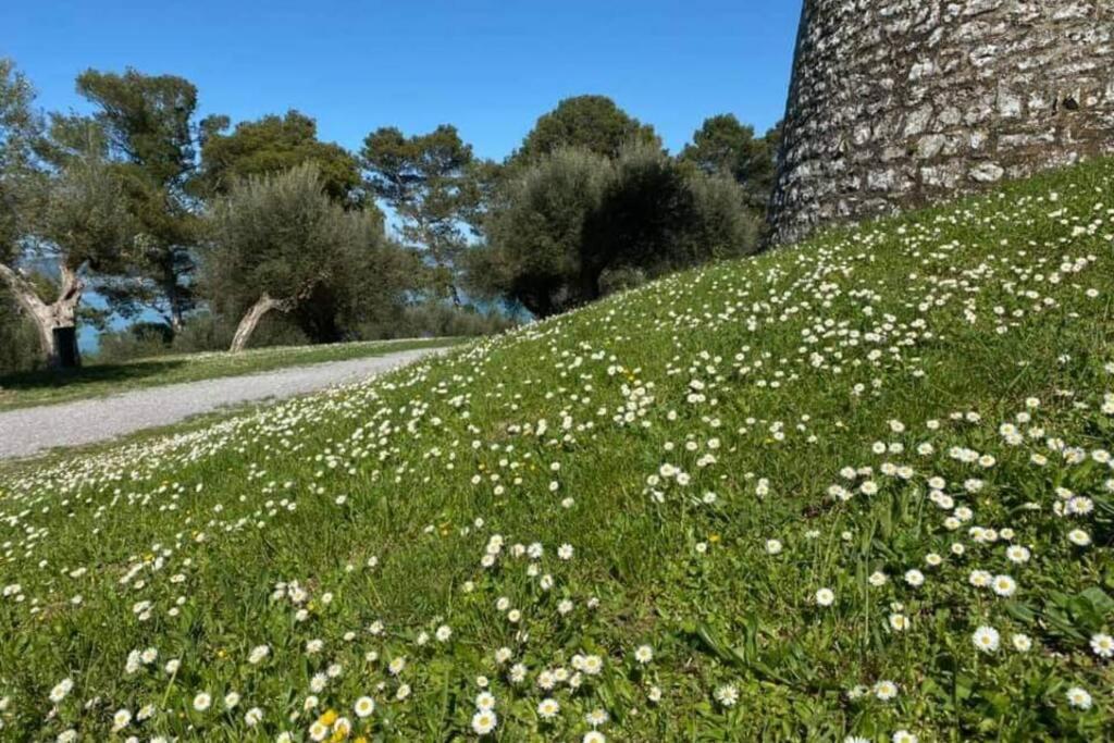 Bellavista La Tua Romantica Vacanza Sul Trasimeno Castiglione del Lago Εξωτερικό φωτογραφία