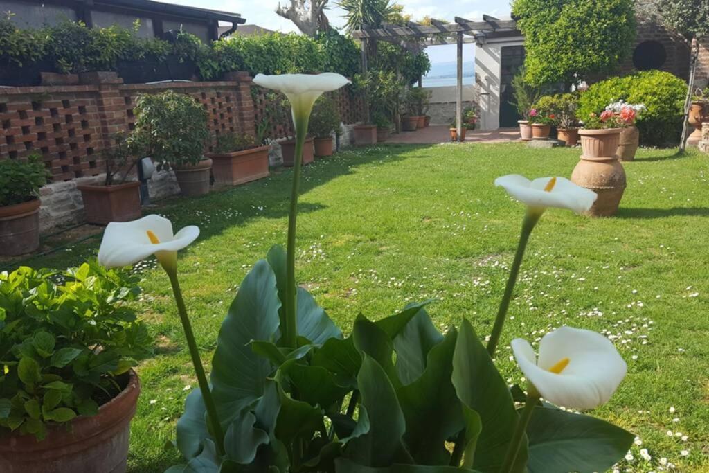 Bellavista La Tua Romantica Vacanza Sul Trasimeno Castiglione del Lago Εξωτερικό φωτογραφία