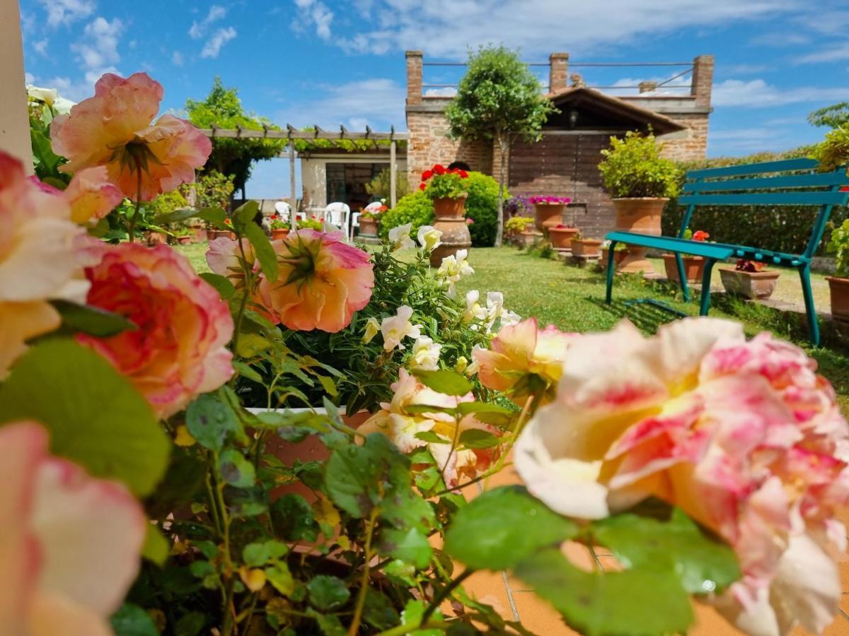 Bellavista La Tua Romantica Vacanza Sul Trasimeno Διαμέρισμα Castiglione del Lago Εξωτερικό φωτογραφία