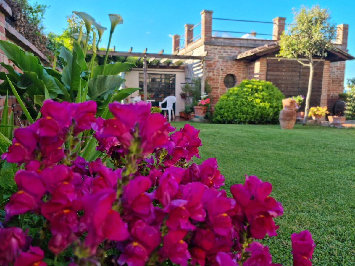 Bellavista La Tua Romantica Vacanza Sul Trasimeno Castiglione del Lago Εξωτερικό φωτογραφία